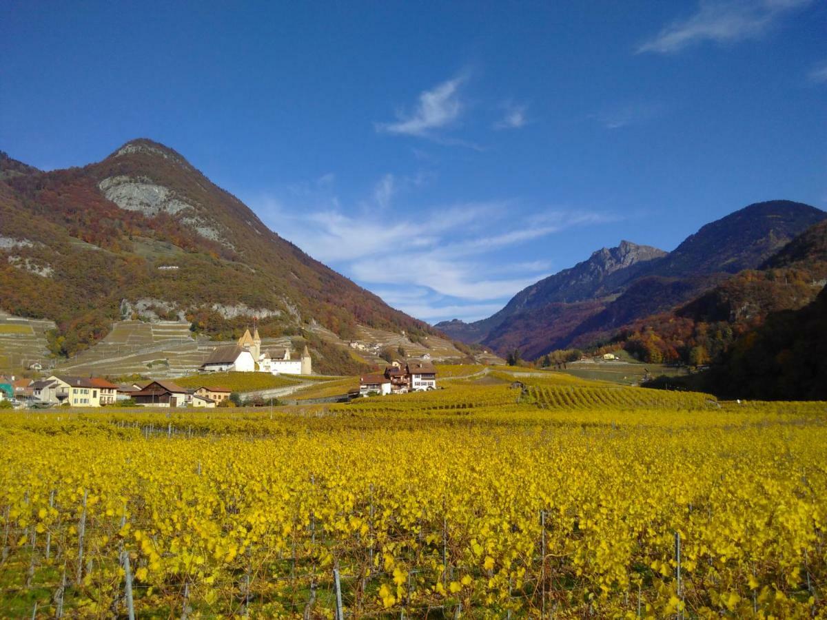 Element-Terre Hotell Aigle Eksteriør bilde